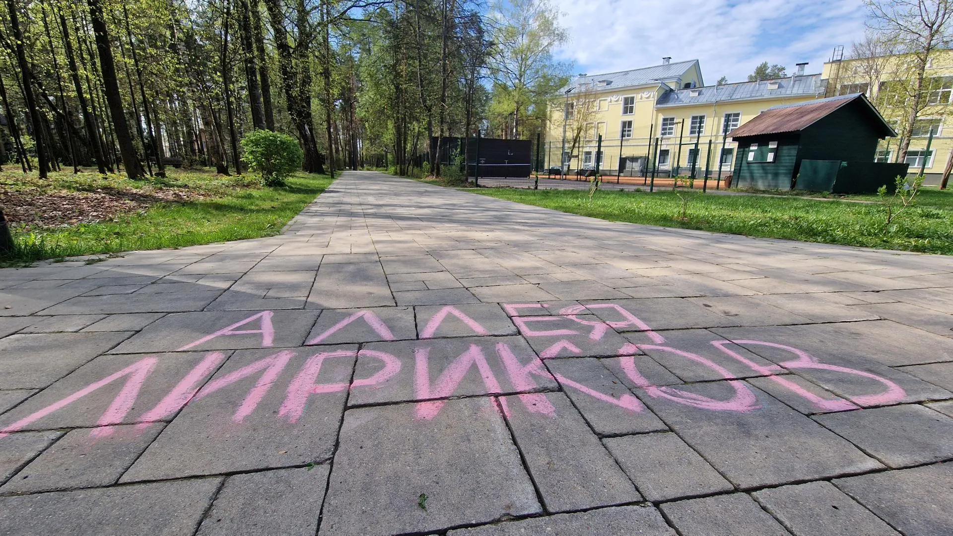 Картинка