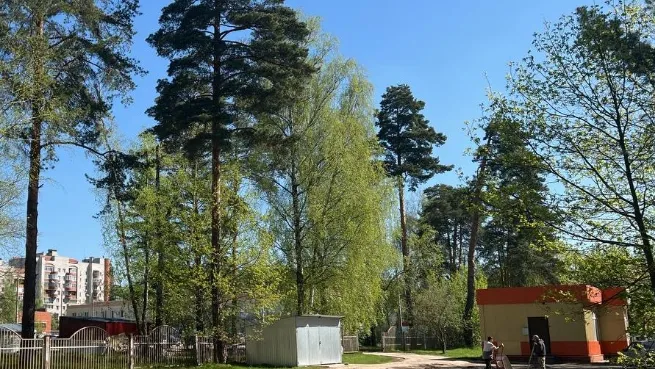 Фото: пресс-служба администрации Протвино