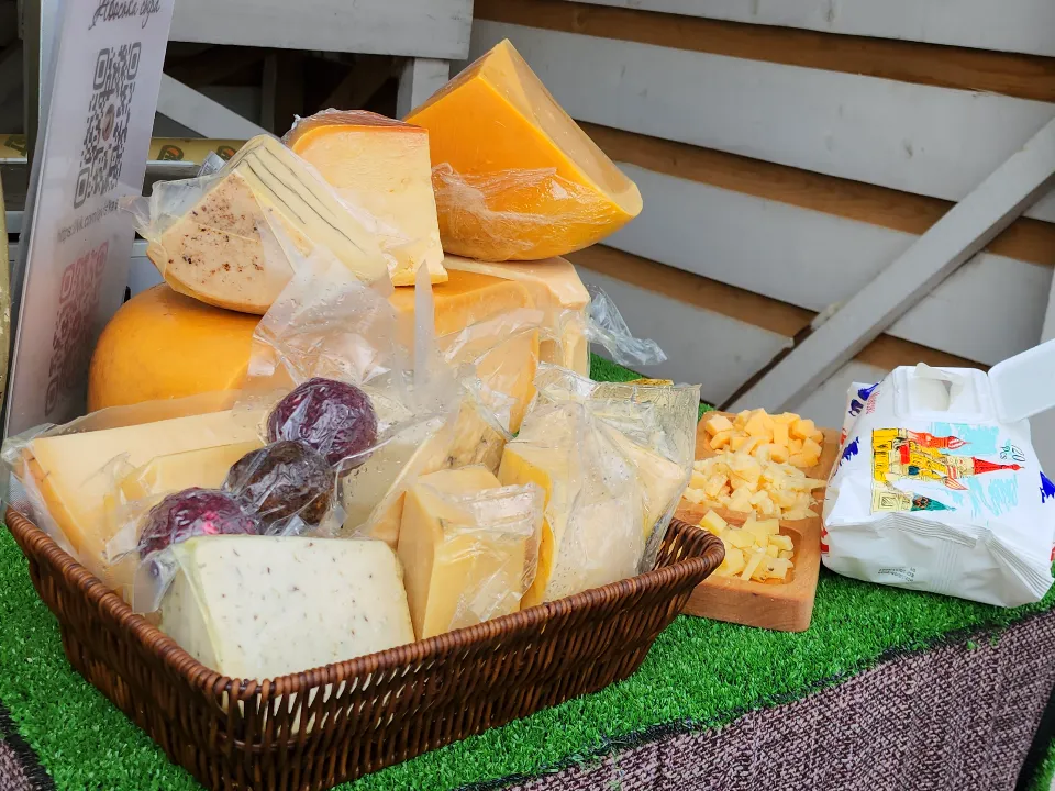 Фото: МедиаБанк Подмосковья/Екатерина Морозова