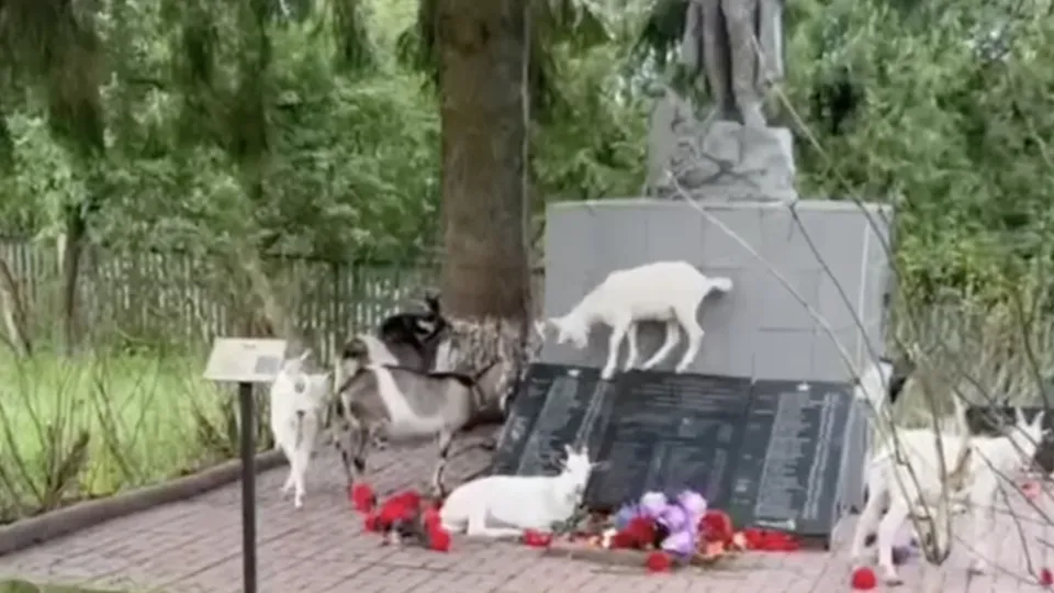 Фото: vk.com/Андрей Сорокин