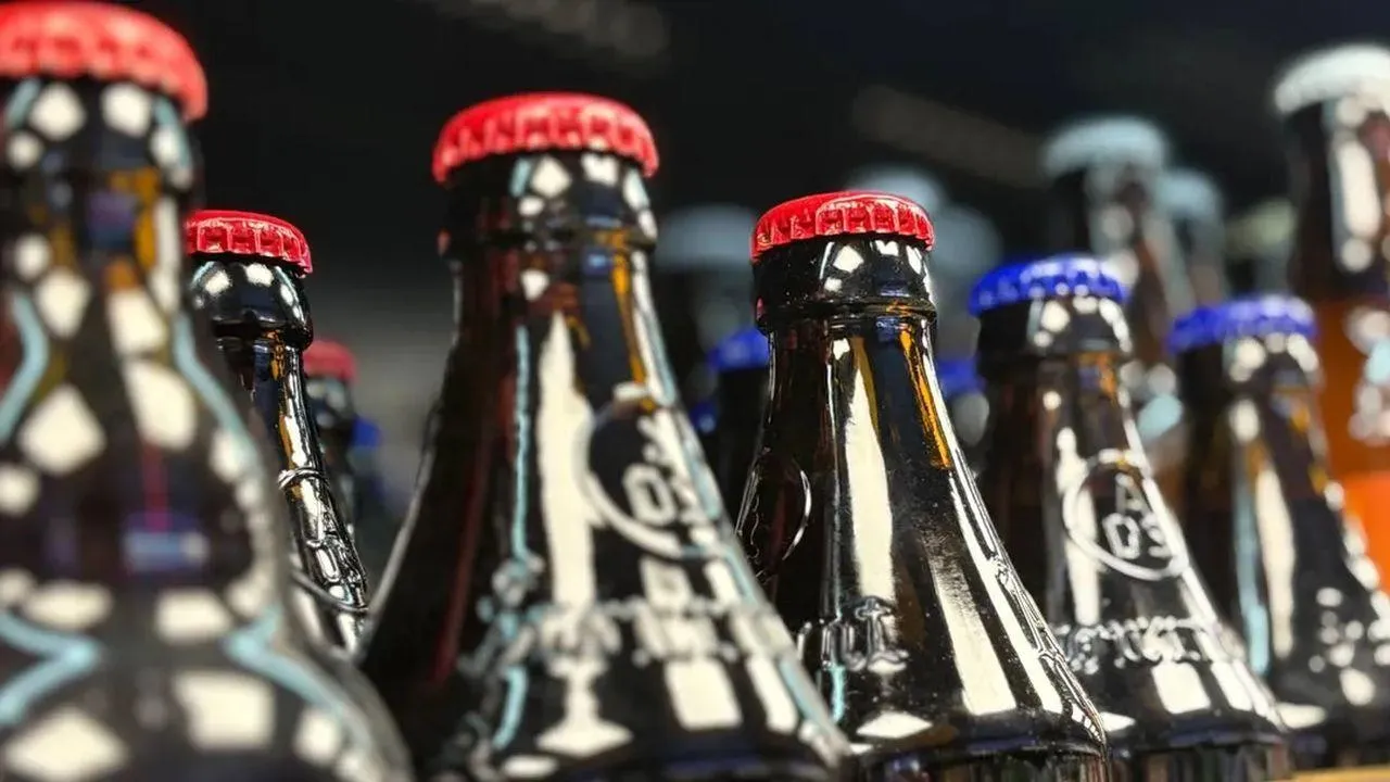 REGIONS/Крачун Полина