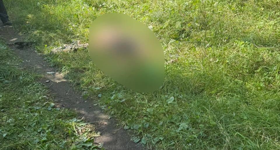 Тело мужчины с множеством ножевых ранений нашли в лесу на юго-востоке Москвы