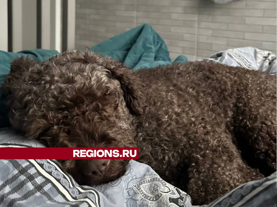 Фото: личный архив Ксении Ряшиной