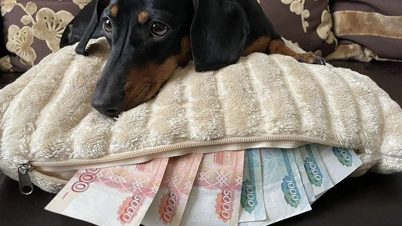 Елена Мельникова/Подмосковье Сегодня