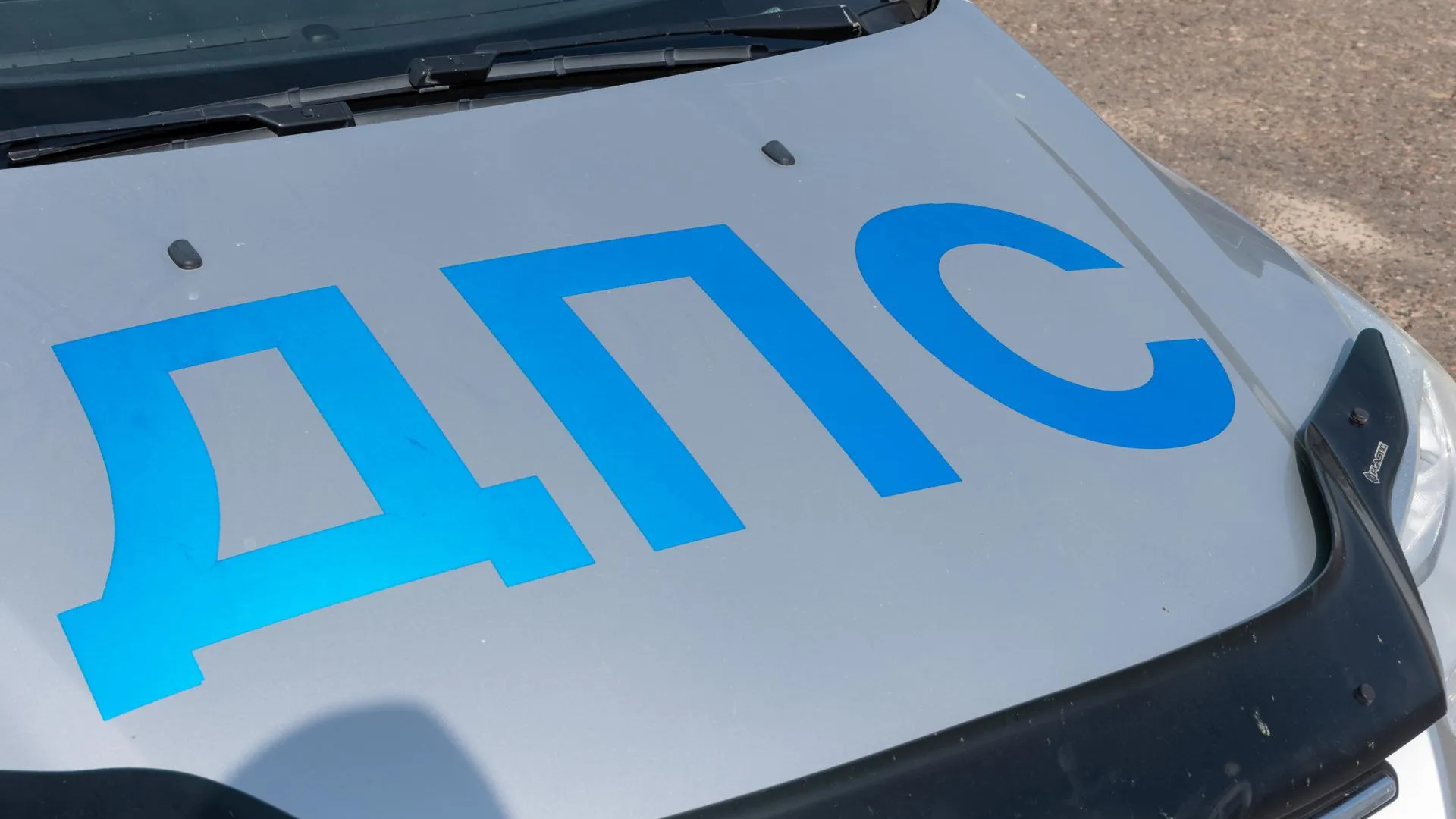 Фото: Евгений Мазепов