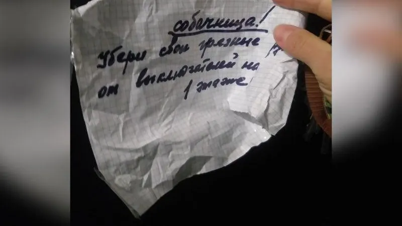 Пенсионерка из Раменского атаковала соседку
