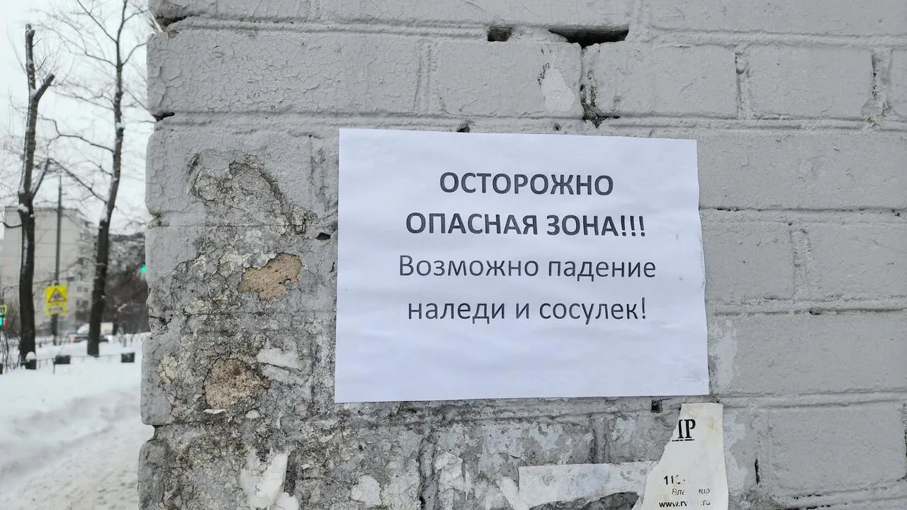 МедиаБанк Подмосковья/Валерия Исаева