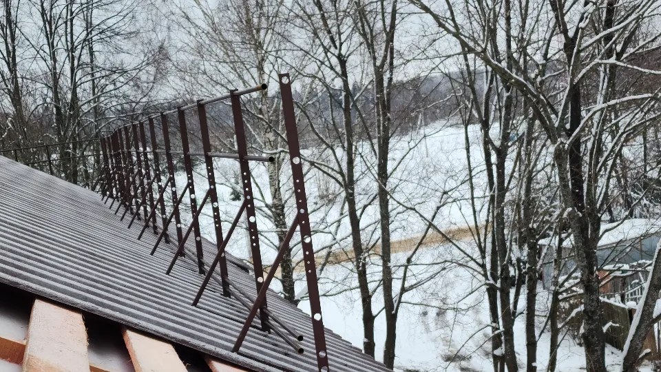 Фото: МедиаБанк Подмосковья/Дмитрий Беденко