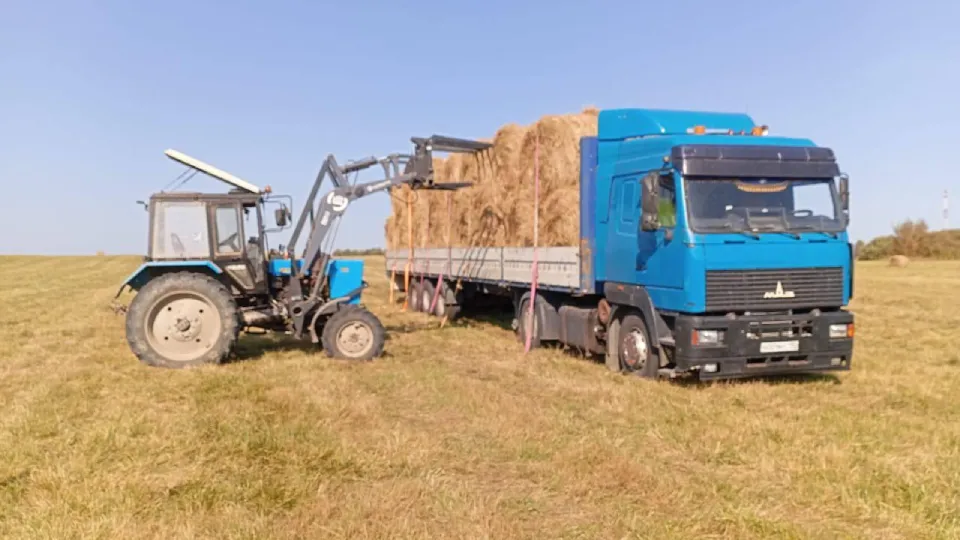 Фото: администрация г.о. Шаховская