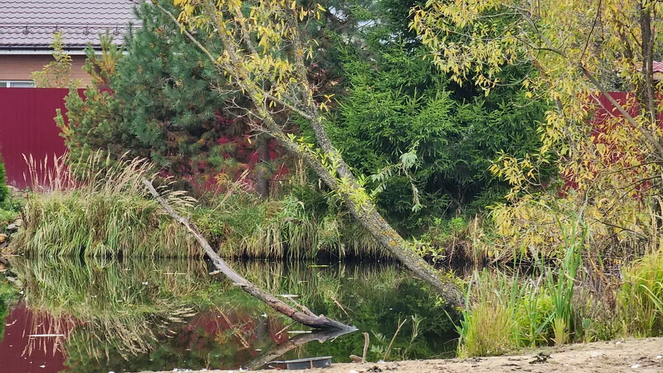 Фото: МедиаБанк Подмосковья/Ольга Аввакумова
