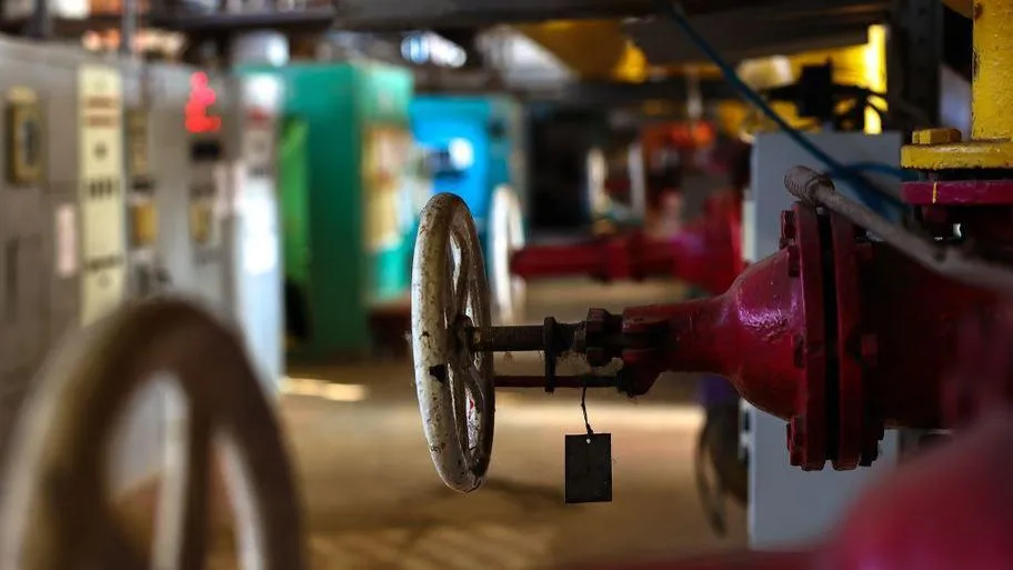 Фото: медиабанк МО