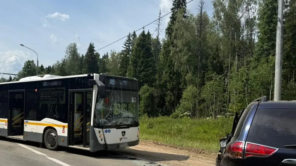 Фото: пресс-служба ГУ МВД России по Московской области