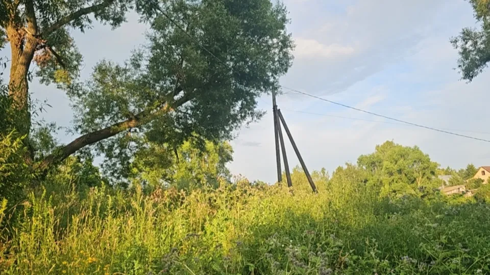 Фото: пресс-служба городского округа Кашира