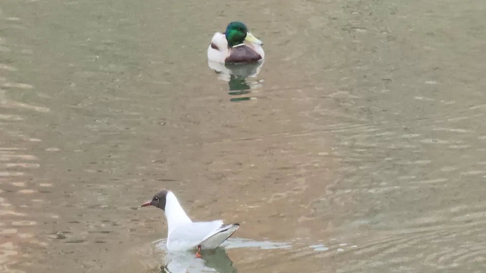 Фото: Наталья Лымарь