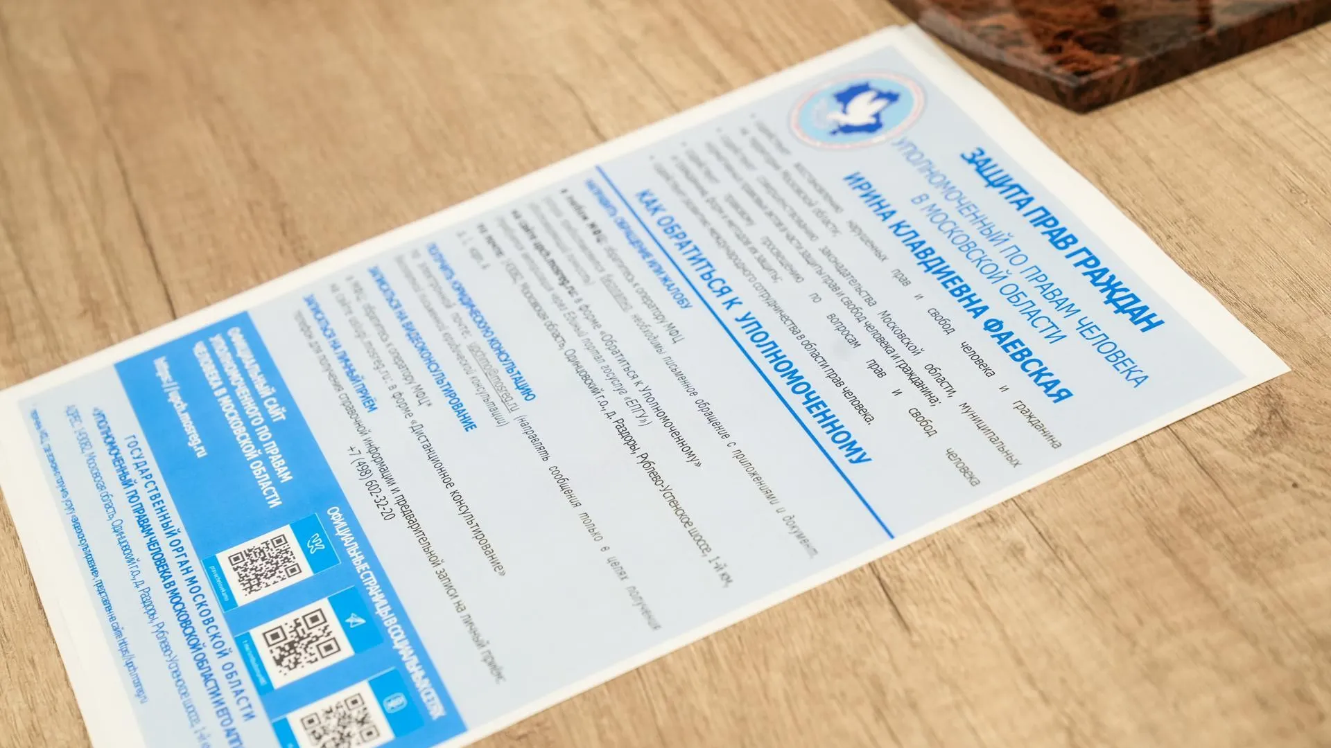 Пресс-служба омбудсмена Подмосковья