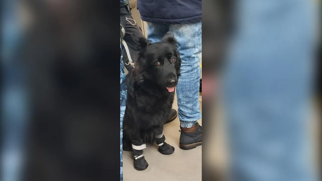 личный архив Сергей Томиловский