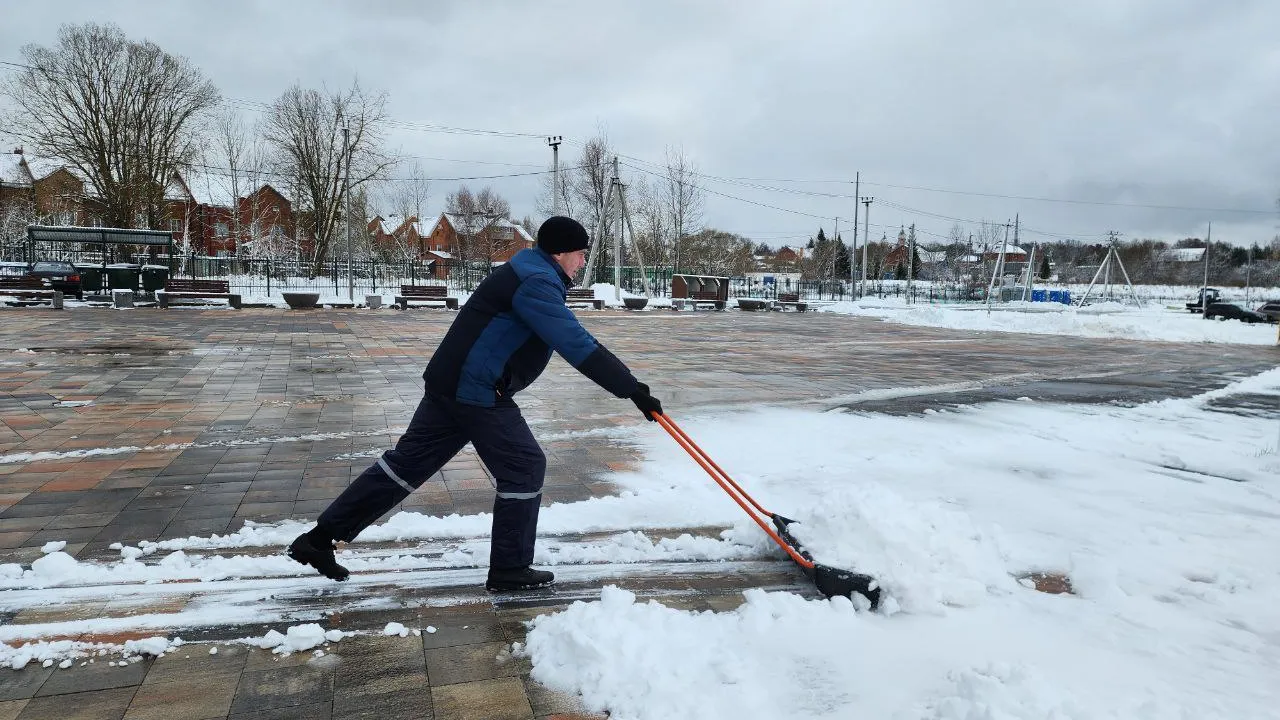 Фото: МедиаБанк Подмосковья/Яна Шаливская
