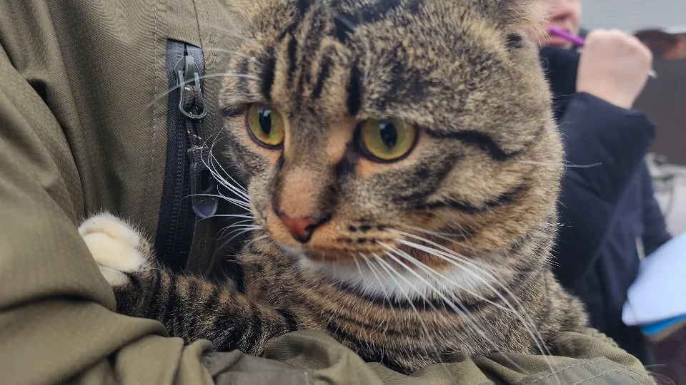 Фото: МедиаБанк Подмосковья/Анна Шолохова