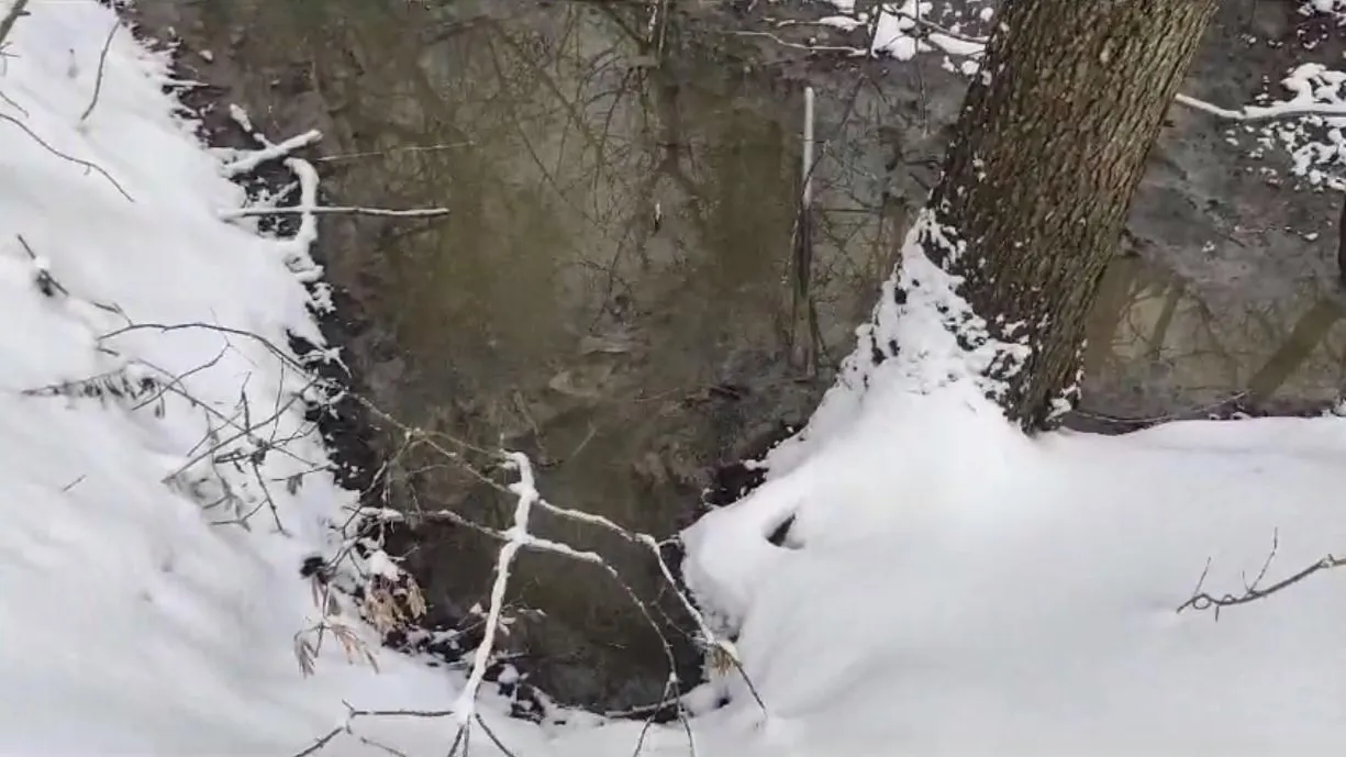 кадр видеозаписи очевидца, Чехов вид / telegram