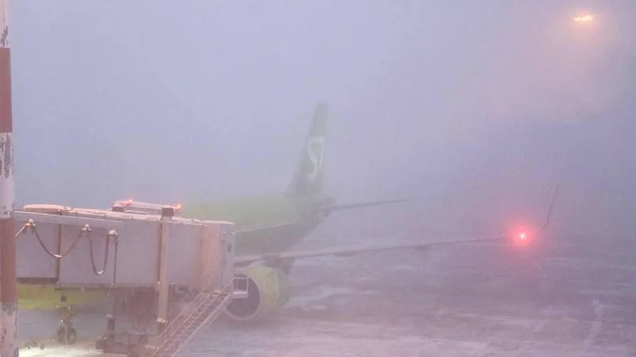 Фото из соцсетей