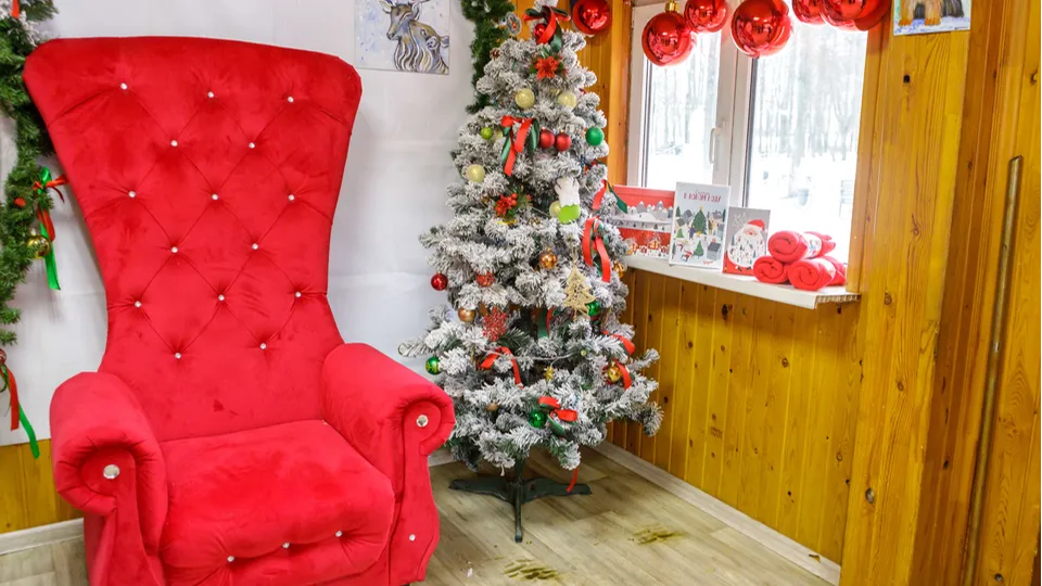 Фото: МедиаБанк Подмосковья/Наталья Лымарь