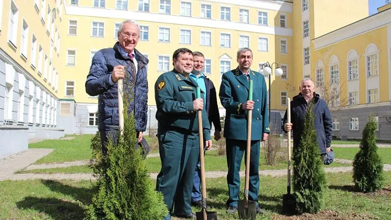 По инициативе работников из Городского округа Пушкинский возле МГТУ высадили еловую аллею