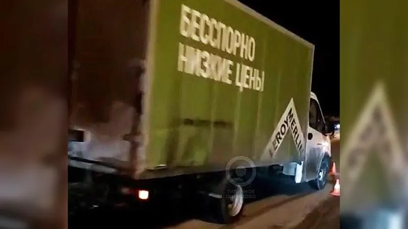 «Газель» сбила женщину на зебре под Одинцовом