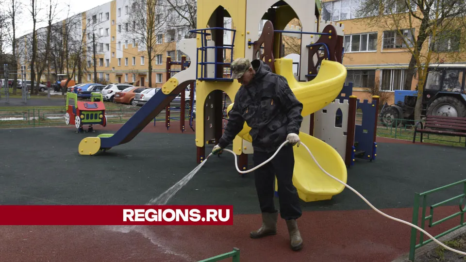 Фото: Владимир Останин