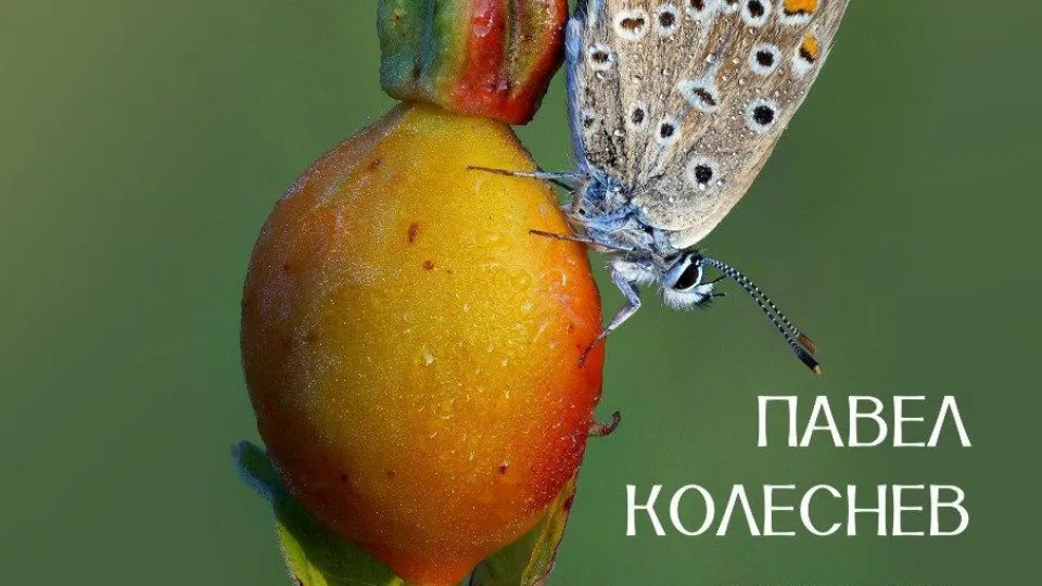 Фото: Коломенская картинная галерея «Дом Озерова»