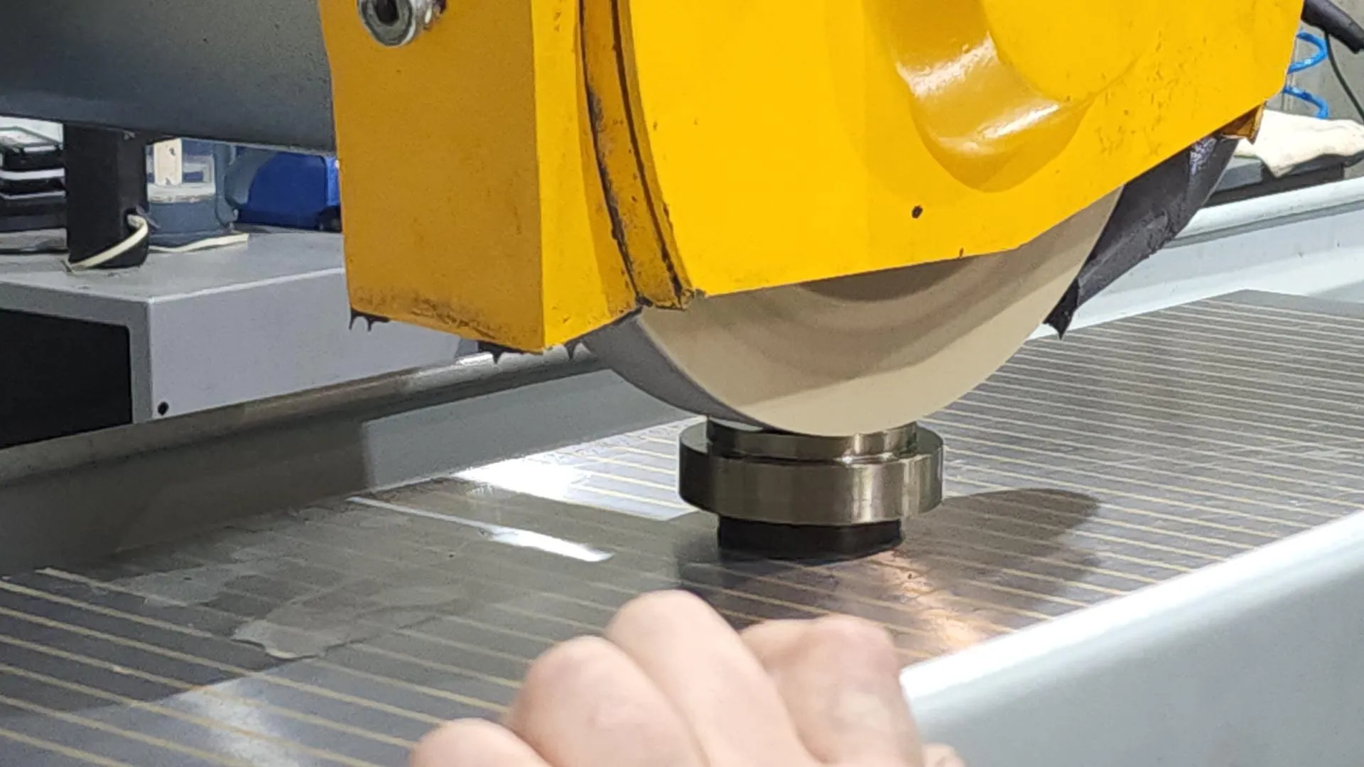 Фото: Светлана Плотникова