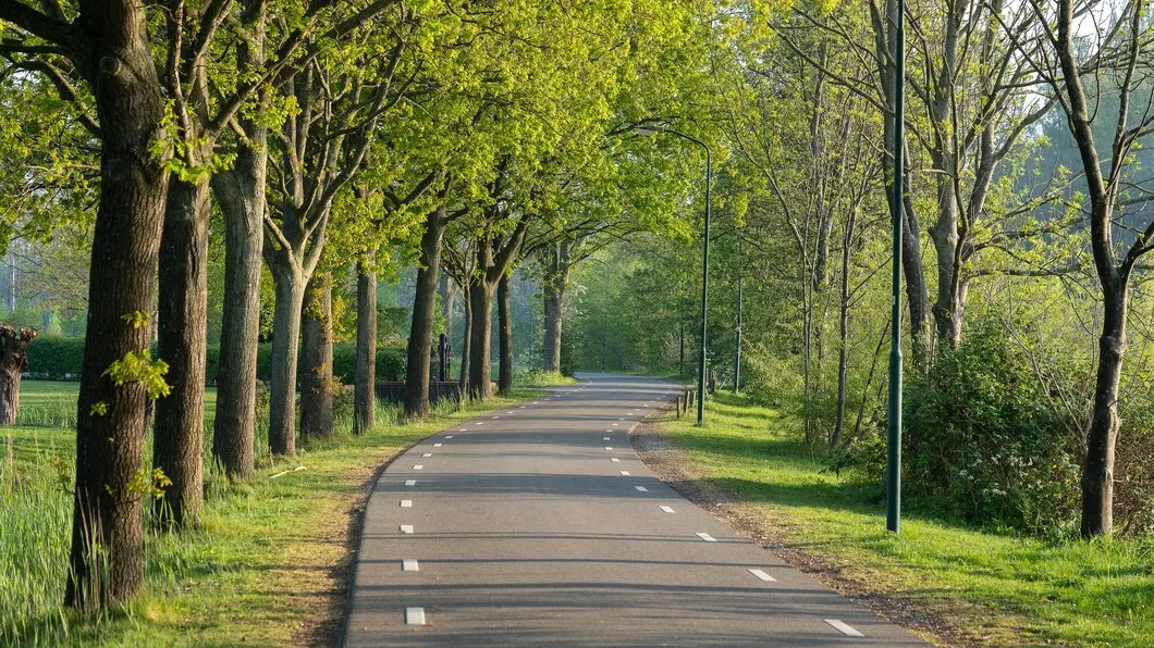 Фото: freepik.com