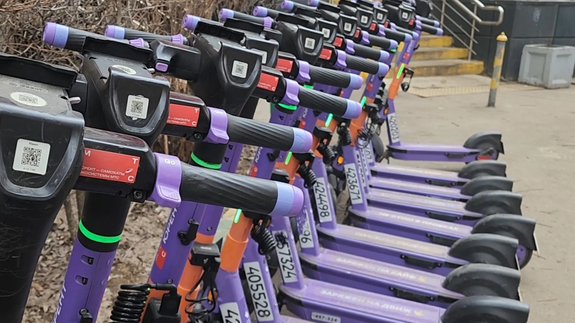 Фото: МедиаБанк Подмосковья/Иван Чижов