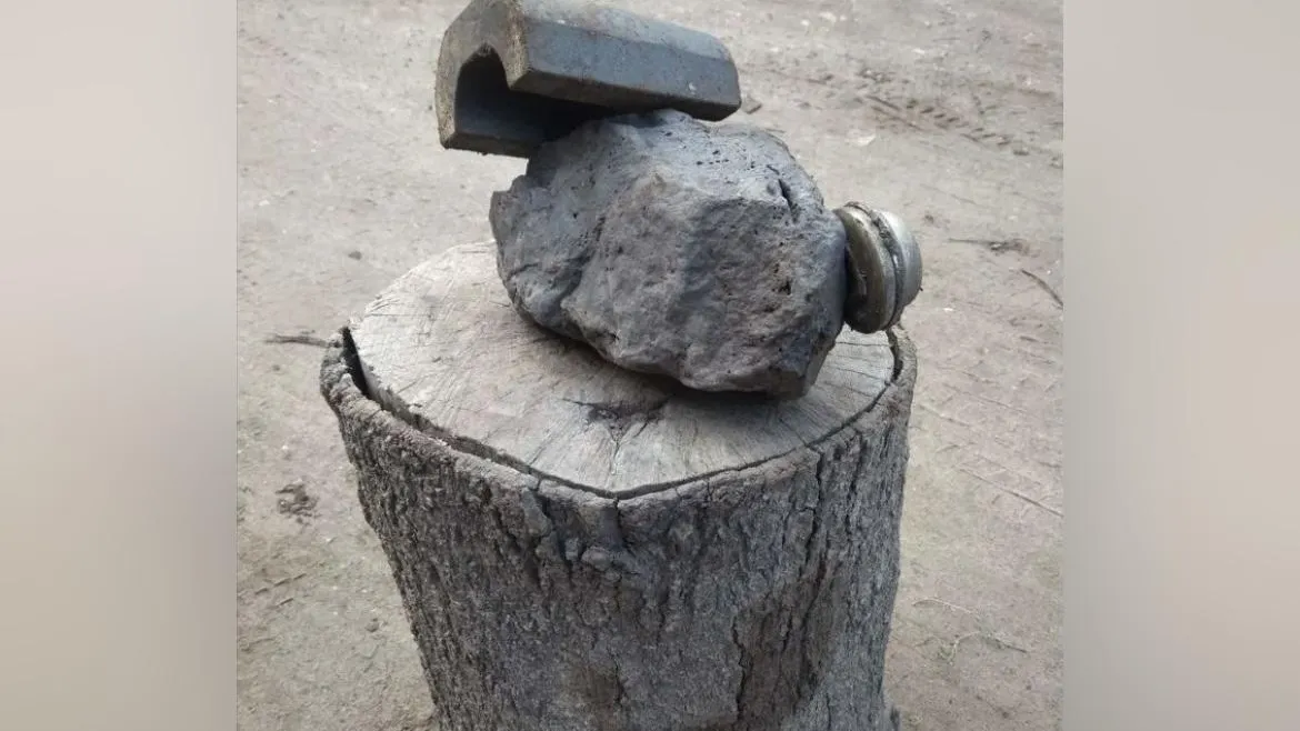 Источник: скриншот с сайта «Авито»