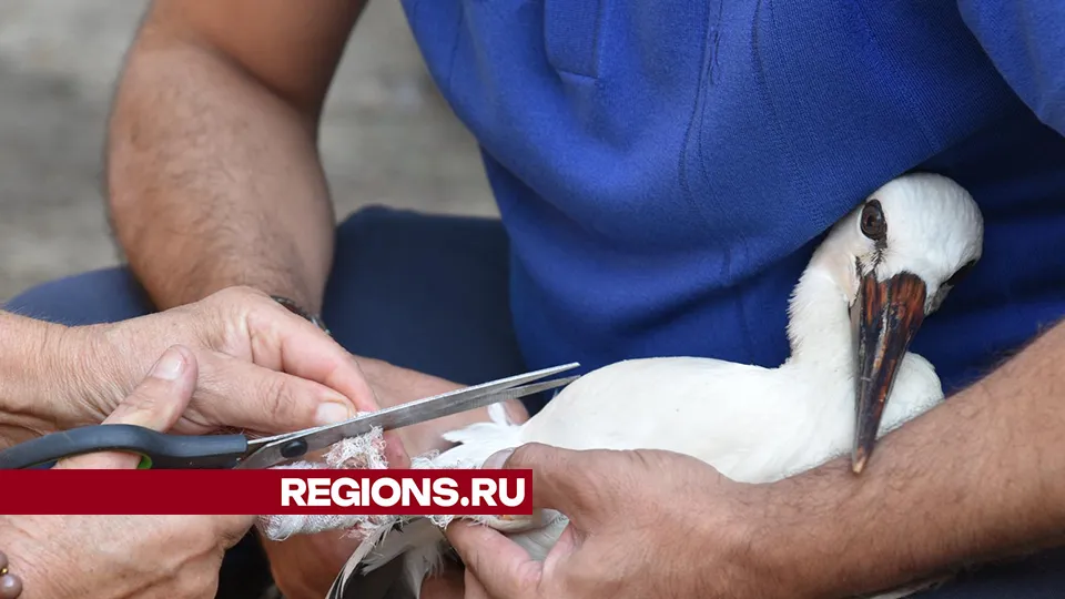 Фото: Владимир Останин