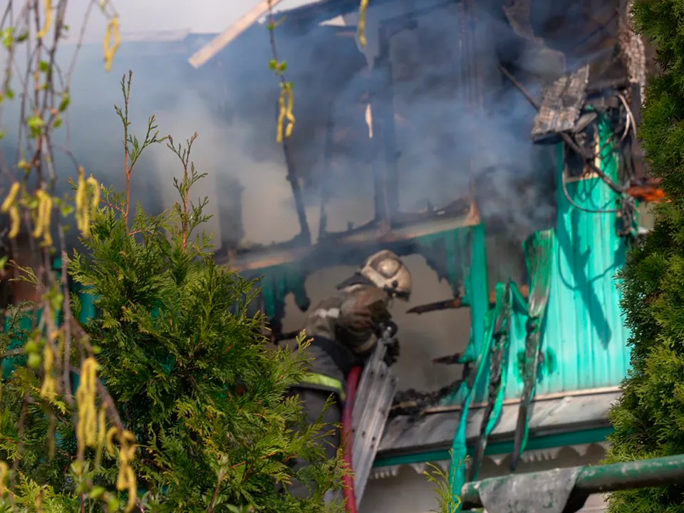 Фото: пресс-служба администрации г.о. Долгопрудный