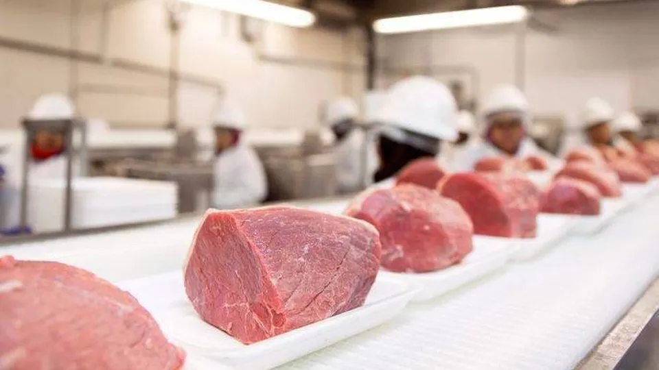 Фото: Министерство сельского хозяйства и продовольствия  Московской области