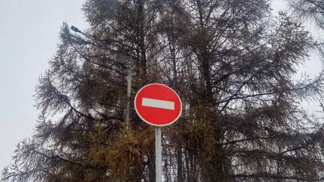 REGIONS/Мария Толстикова