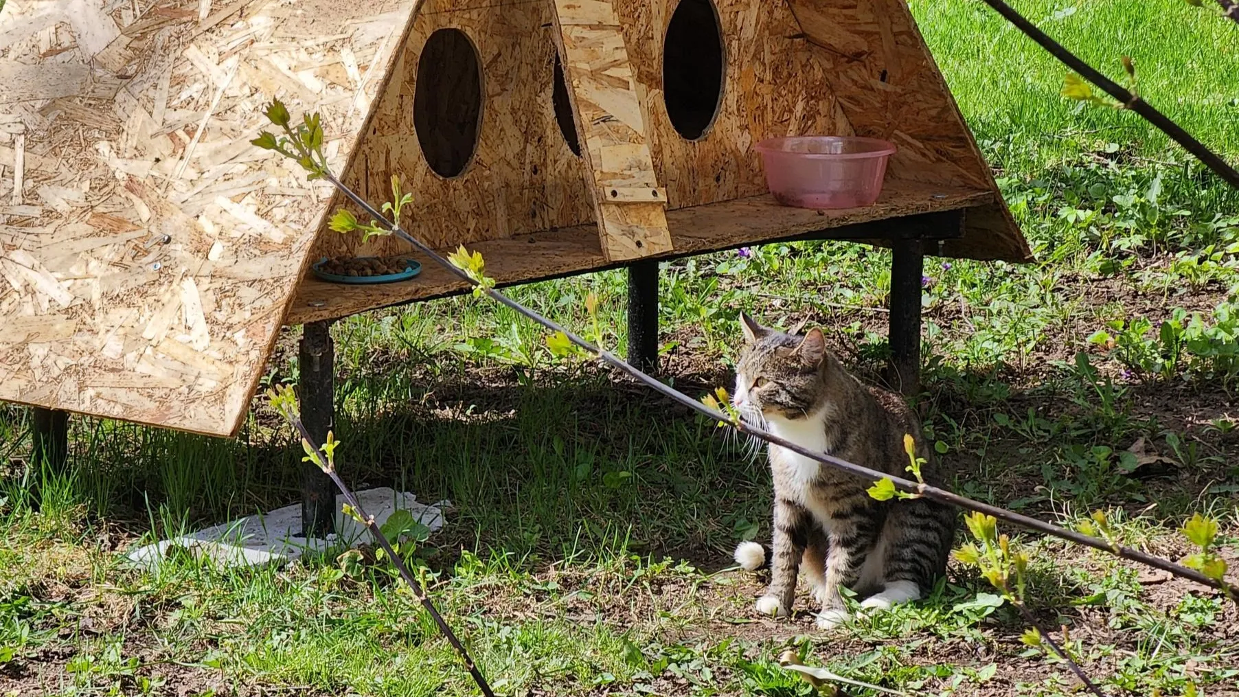 Фото: Екатерина Данилина