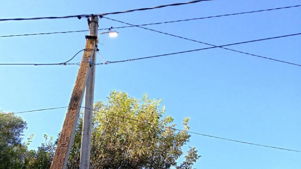 Фото: пресс-служба администрации м.о. Лотошино