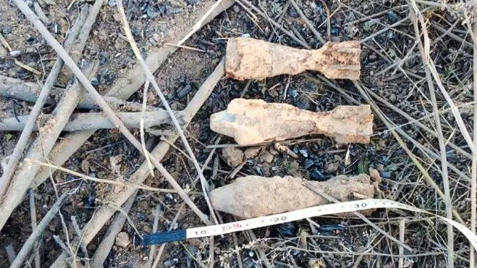 Фото: ГКУ МО «Мособлпожспас»