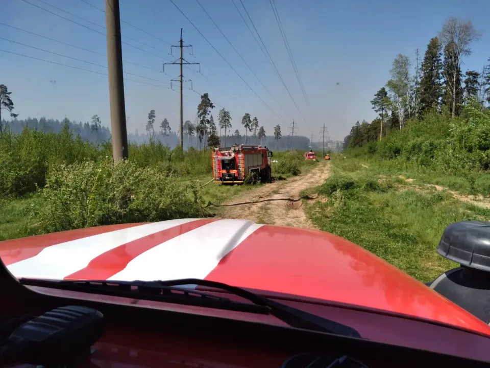Фото: ГКУ МО «Мособлпожспас»