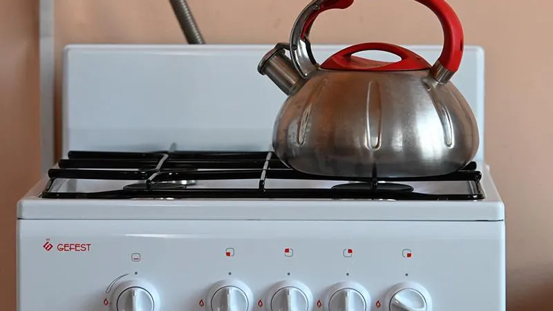Семья, отравившаяся газом в коттедже под Истрой, выписалась из больницы