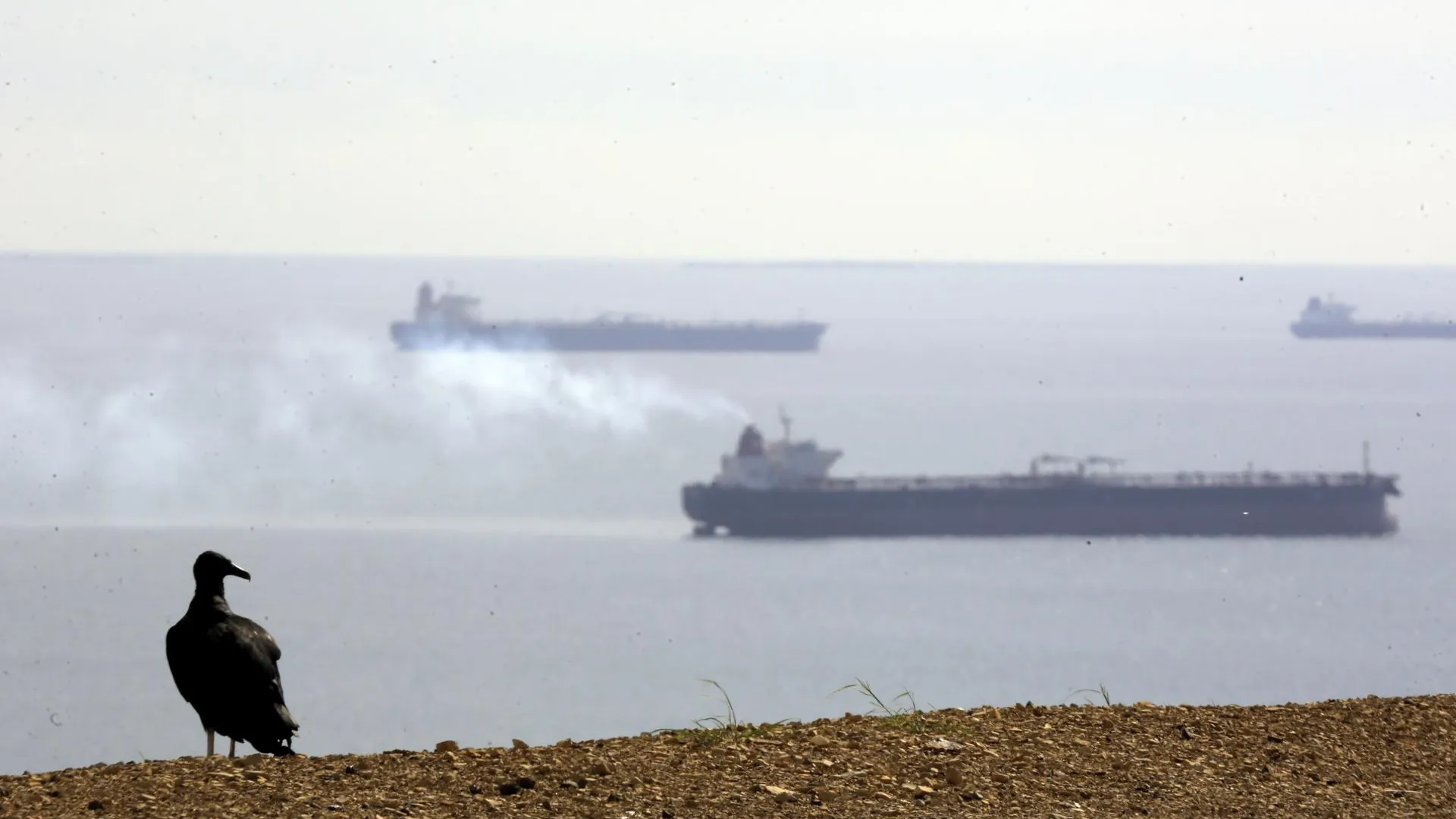 Juan Carlos Hernandez/ZUMAPRESS.com