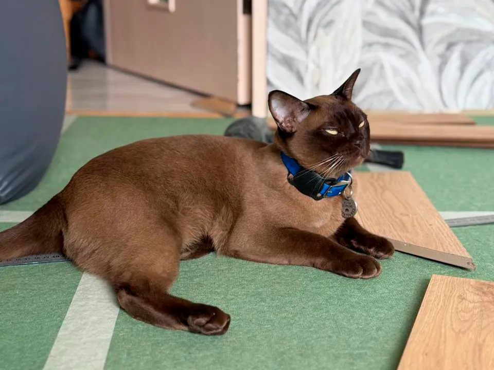 Фото: Константин Михальков&nbsp;