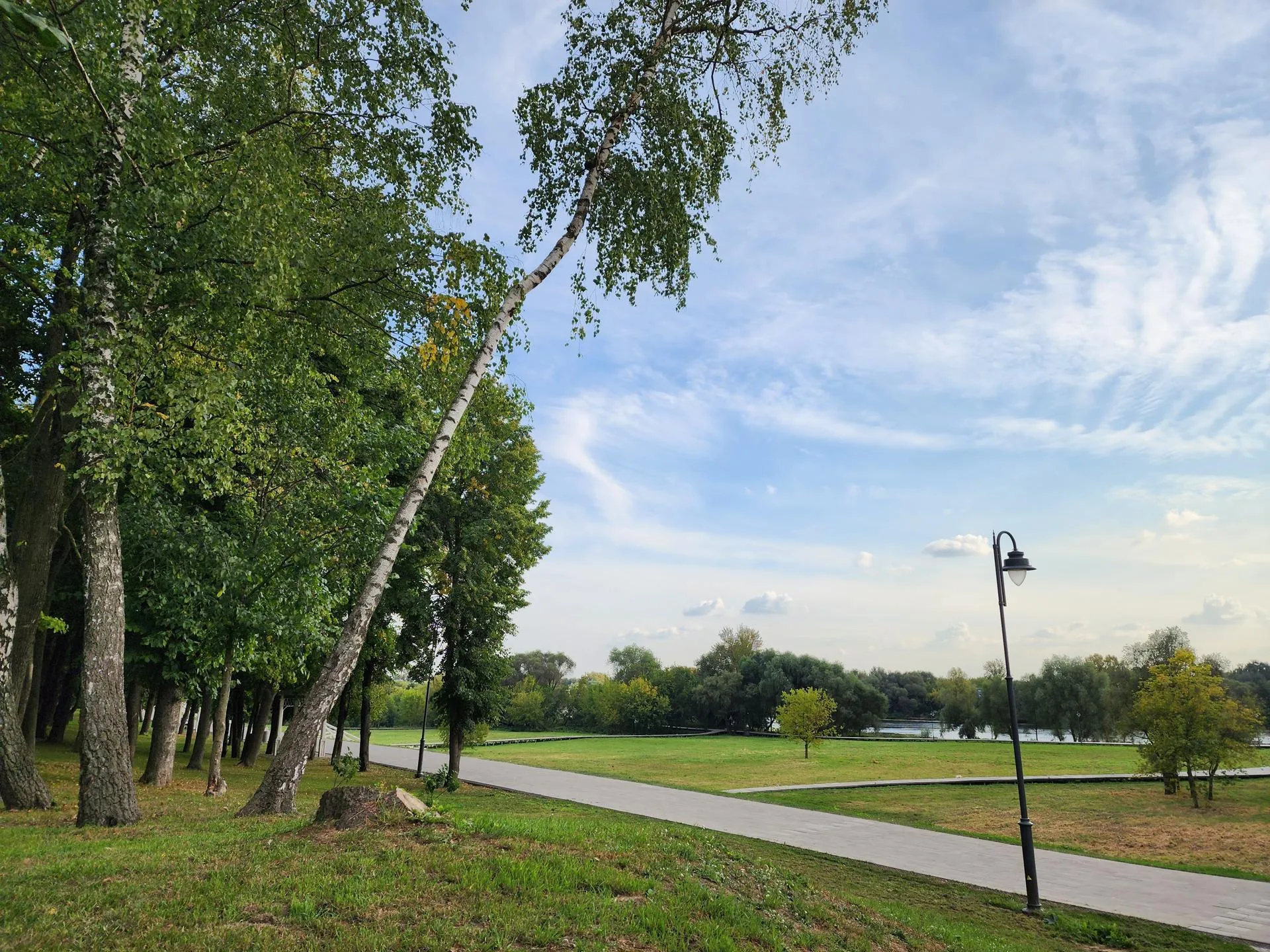 Светлана Плотникова