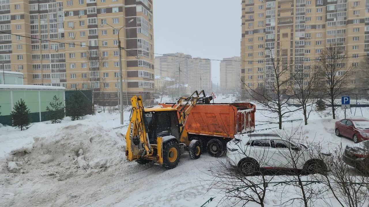 REGIONS/Валерия Тингаева