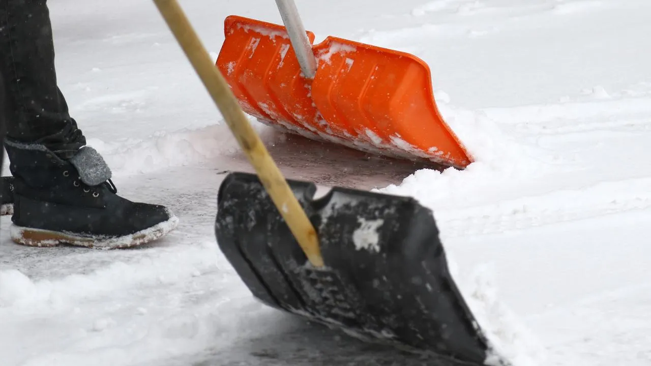 istockphoto.com/Aleksandar Nalbantjan