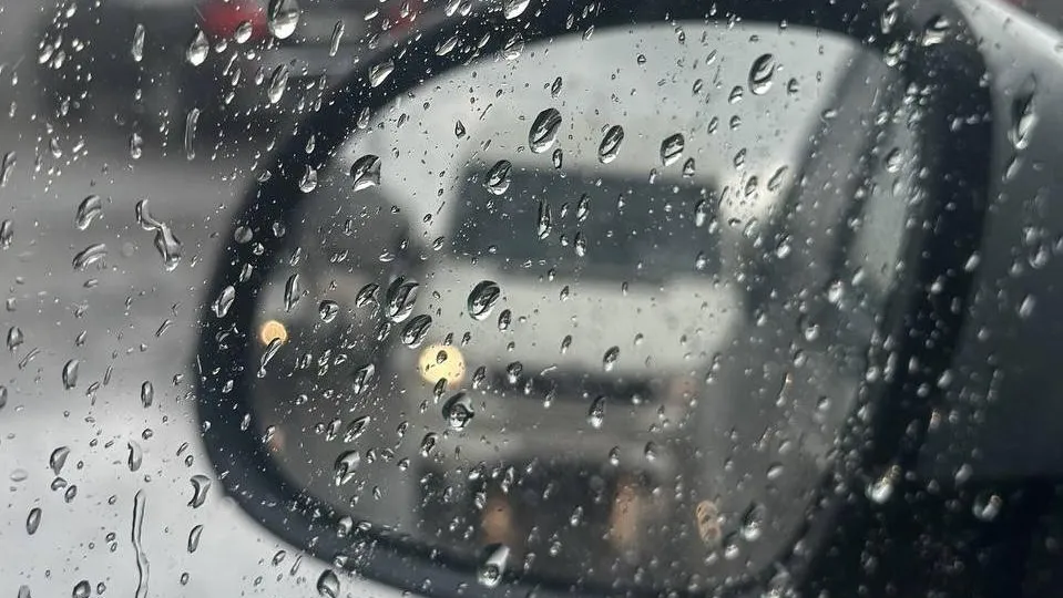 Фото: Минтранс Подмосковья