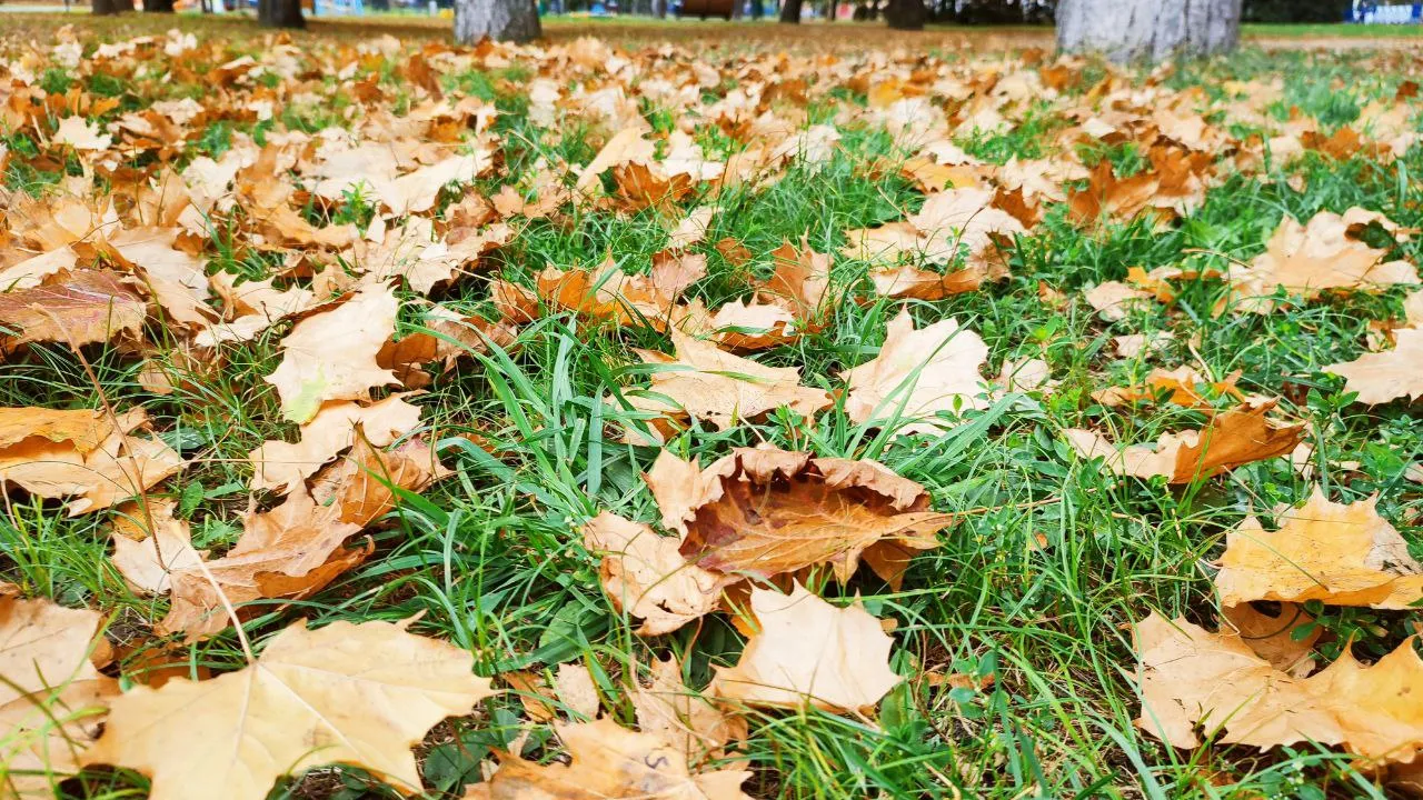 Фото: REGIONS/Елена Забелина