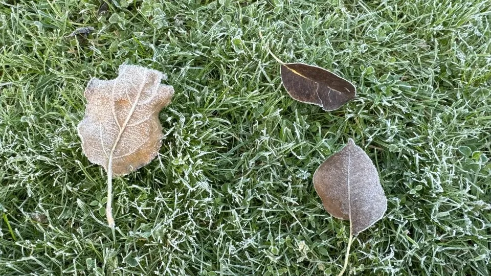 Фото: REGIONS/Илья Попов